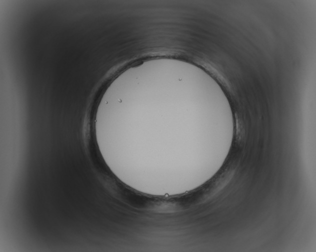 X0000100490348200807111127