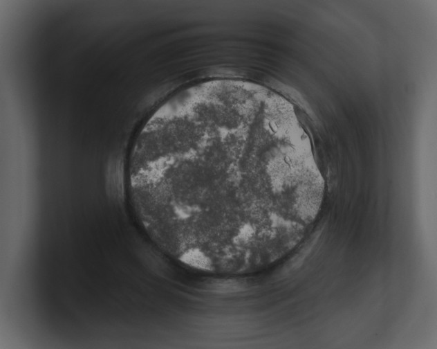 X0000100490349200807111127
