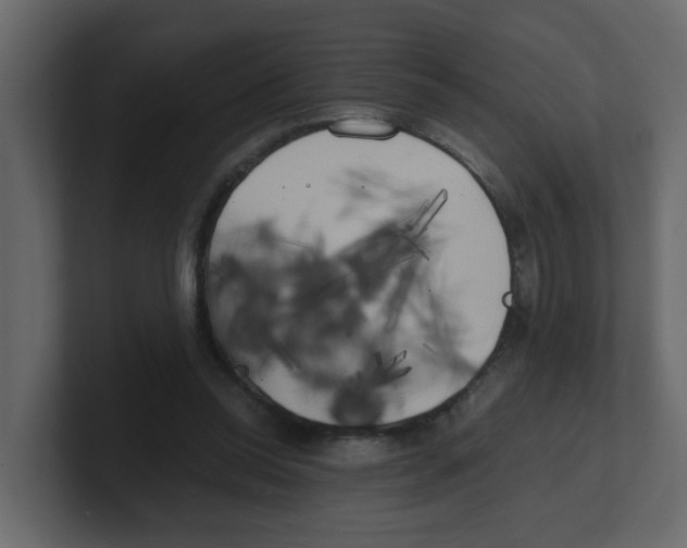 X0000100490350200807111127