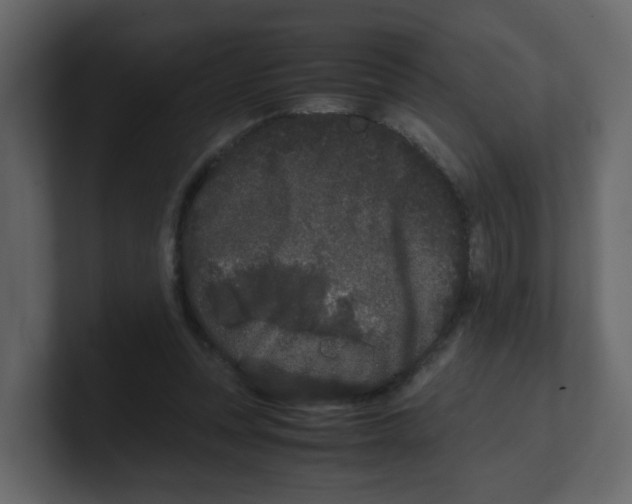 X0000100490351200807111127