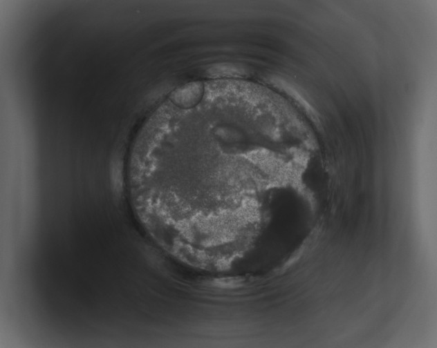 X0000100490353200807111127