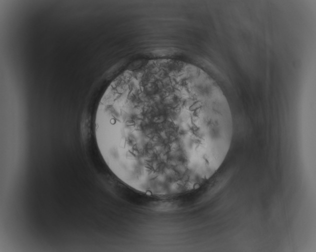 X0000100490356200807111127