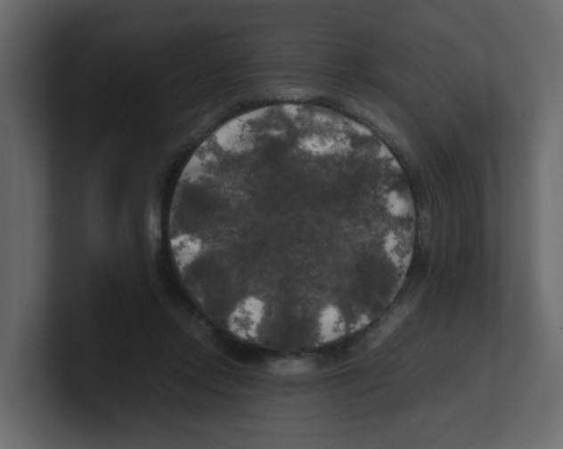 X0000100490358200807111127
