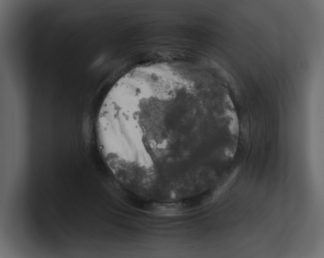 X0000100490359200807111127