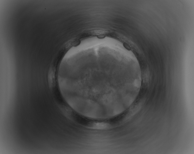 X0000100490360200807111127