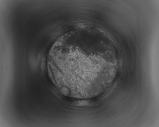 X0000100490361200807111127