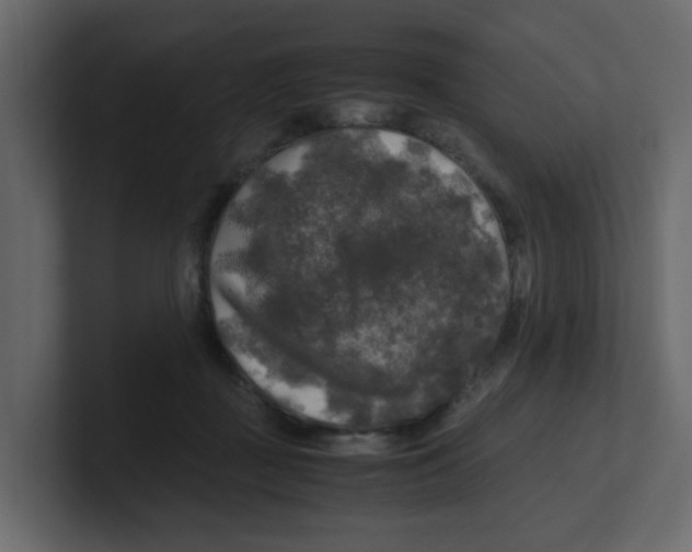 X0000100490363200807111127
