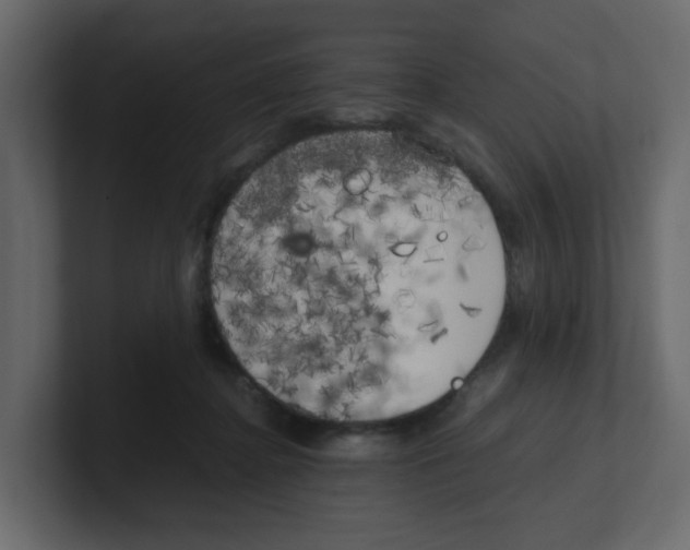 X0000100490364200807111127