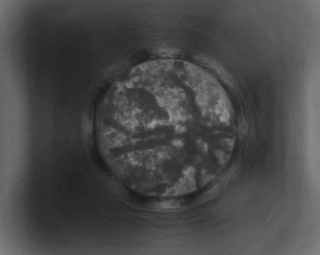 X0000100490365200807111127