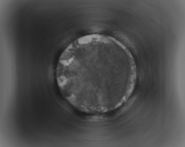 X0000100490366200807111127