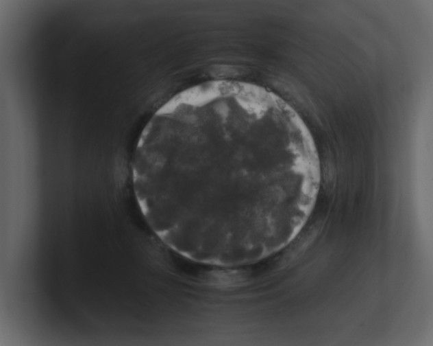 X0000100490367200807111127