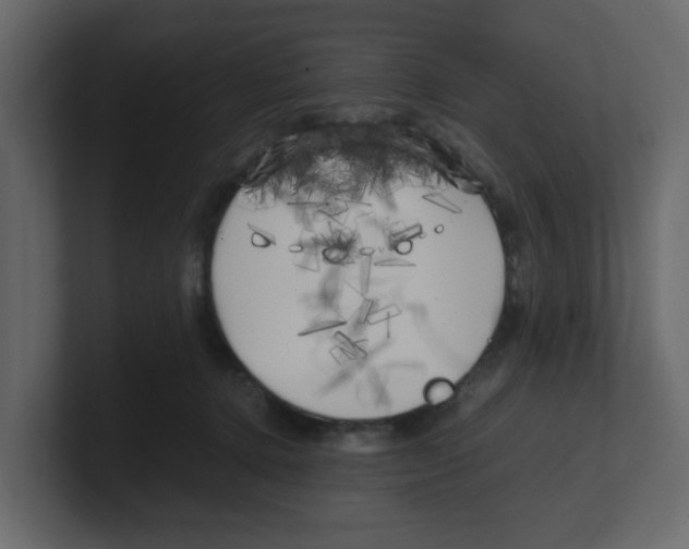 X0000100490368200807111127