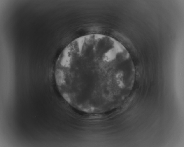 X0000100490369200807111127