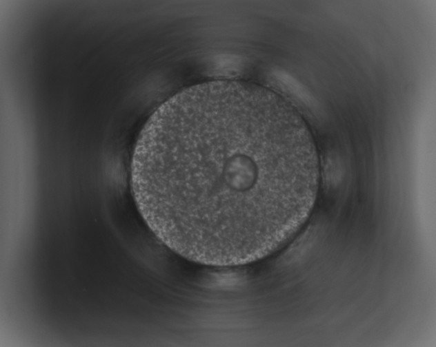 X0000100490370200807111127