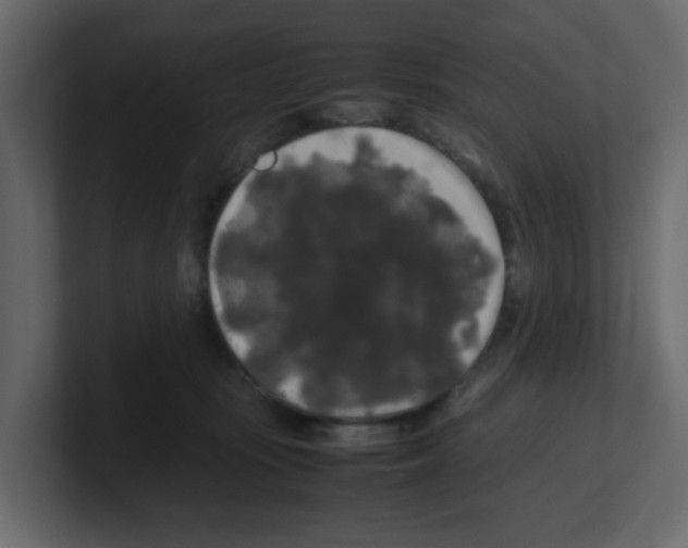 X0000100490371200807111127