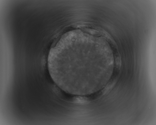 X0000100490372200807111127