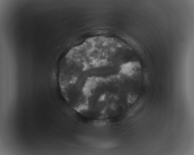 X0000100490373200807111128