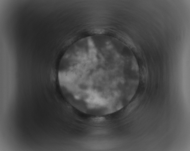 X0000100490374200807111128