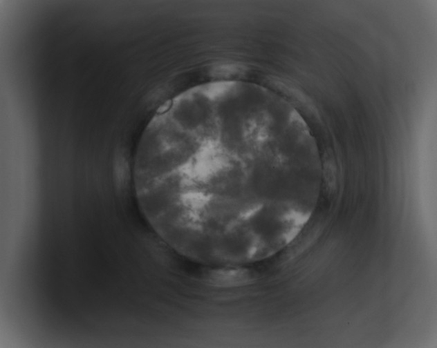 X0000100490375200807111128
