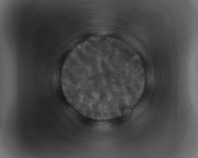 X0000100490376200807111128