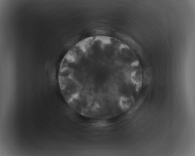 X0000100490377200807111128