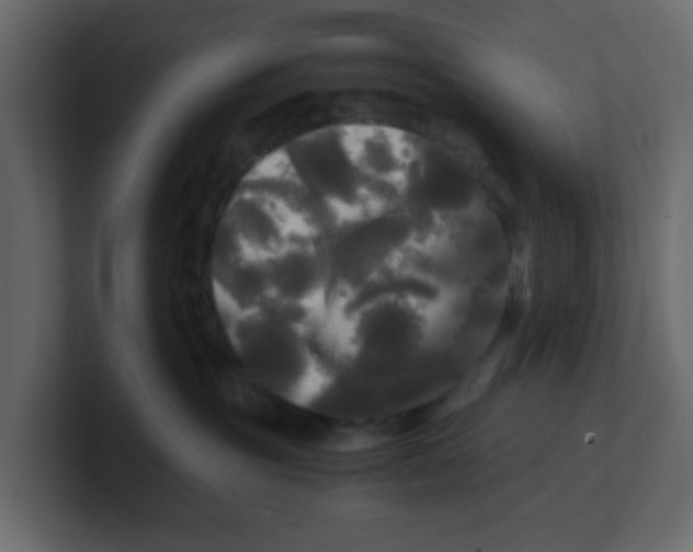 X0000100490381200807111128