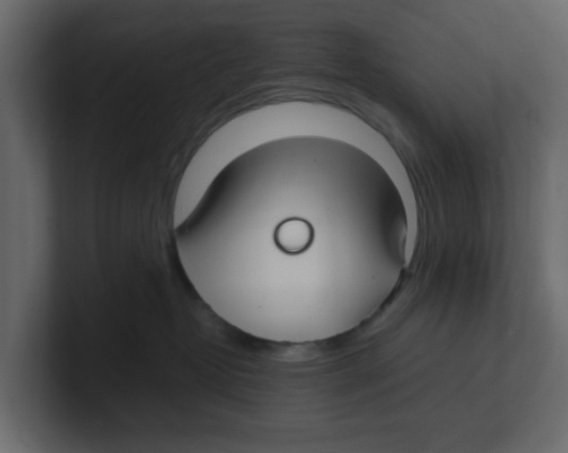 X0000100490382200807111128