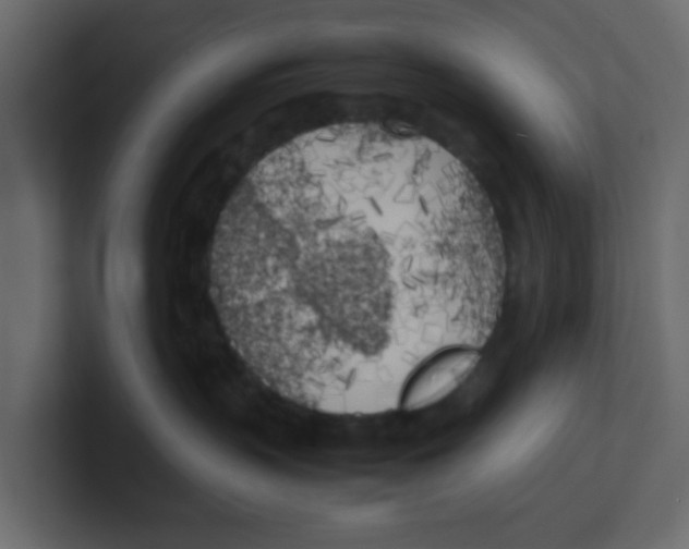 X0000100490383200807111128