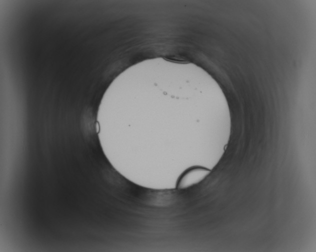 X0000100490384200807111128