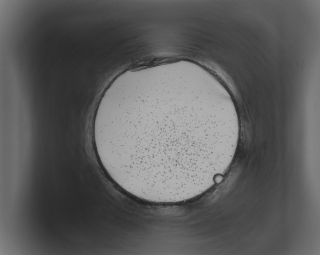 X0000100490385200807111127