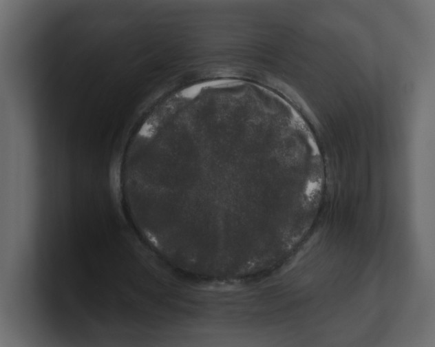 X0000100490386200807111127