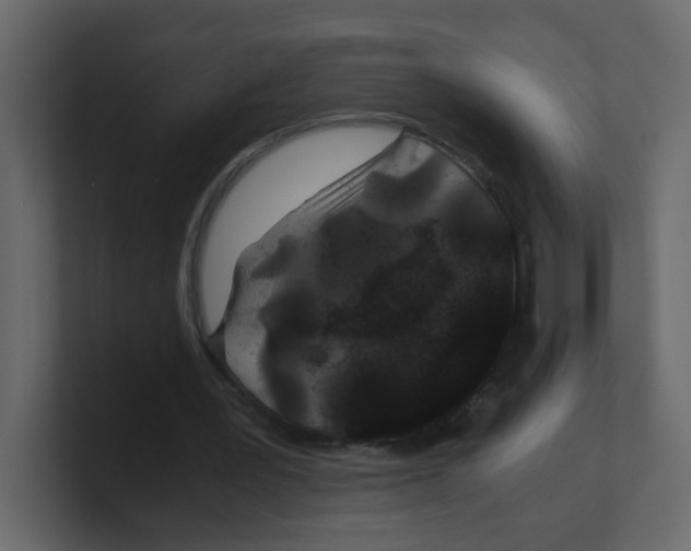 X0000100490387200807111127