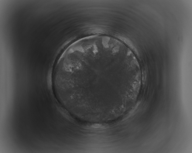 X0000100490390200807111127