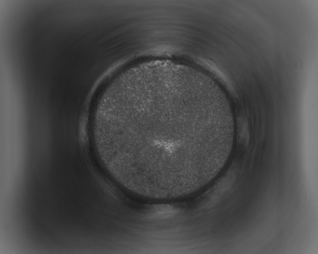 X0000100490392200807111127
