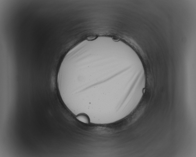 X0000100490393200807111127