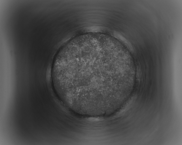 X0000100490394200807111127