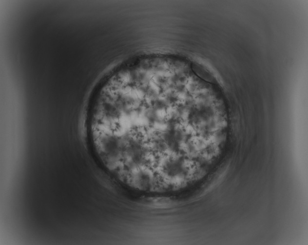 X0000100490395200807111127
