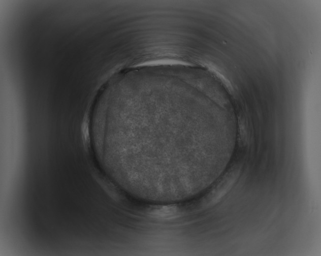 X0000100490398200807111127