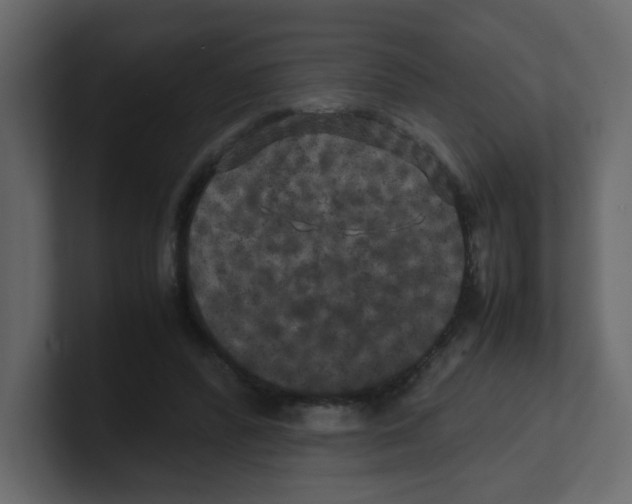 X0000100490400200807111127