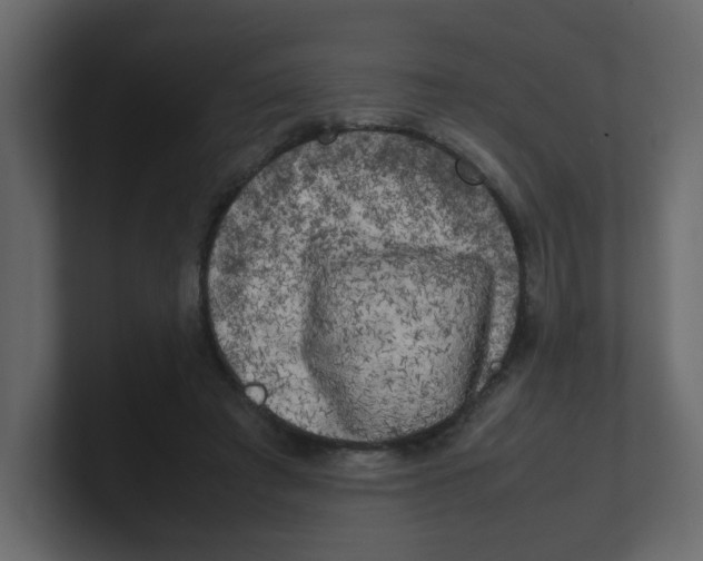 X0000100490401200807111127