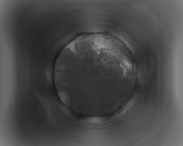 X0000100490402200807111127