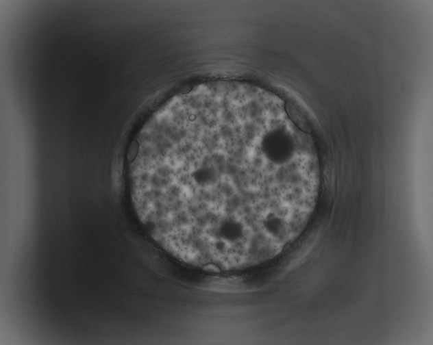 X0000100490403200807111127