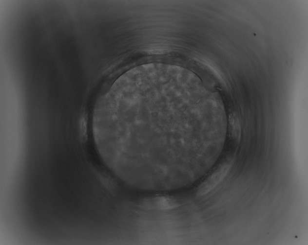 X0000100490404200807111127