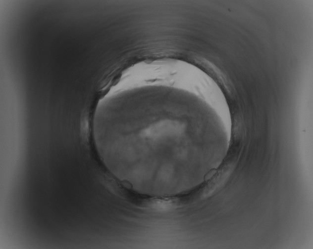 X0000100490405200807111127