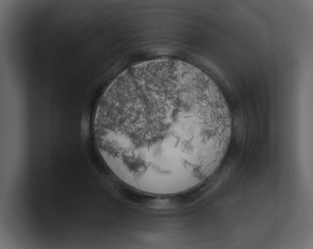 X0000100490406200807111127
