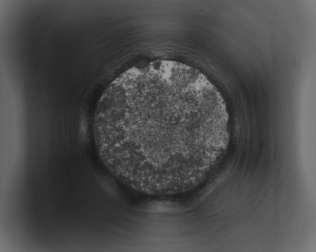 X0000100490408200807111127