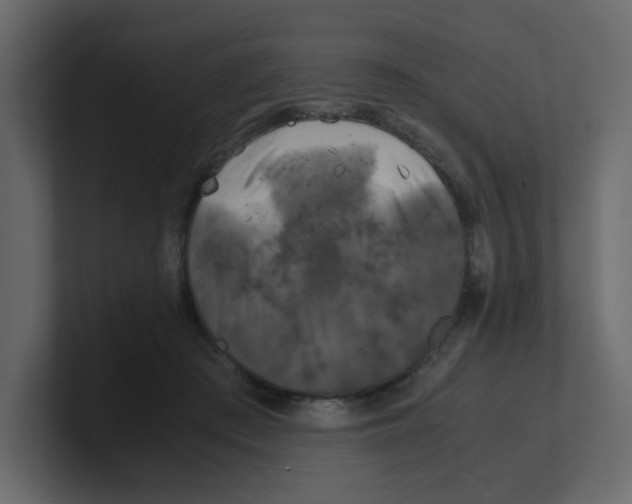 X0000100490409200807111127