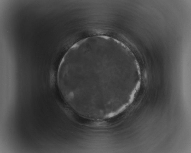 X0000100490410200807111127