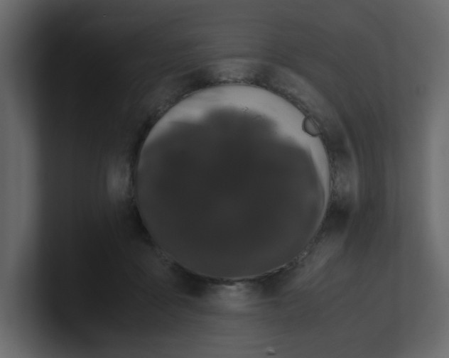 X0000100490411200807111127