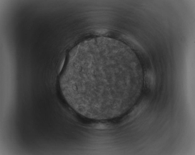 X0000100490412200807111127